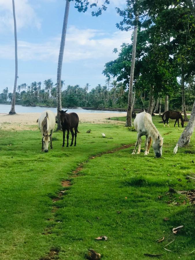 Oasis En La Naturaleza Rancho Alto Bonito Las Galeras Exterior photo