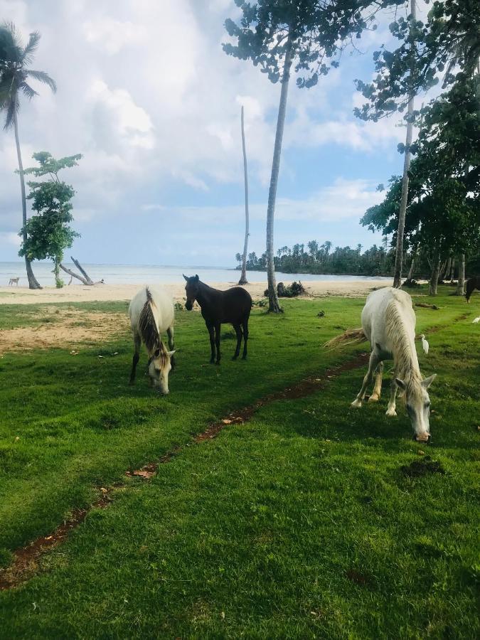 Oasis En La Naturaleza Rancho Alto Bonito Las Galeras Exterior photo